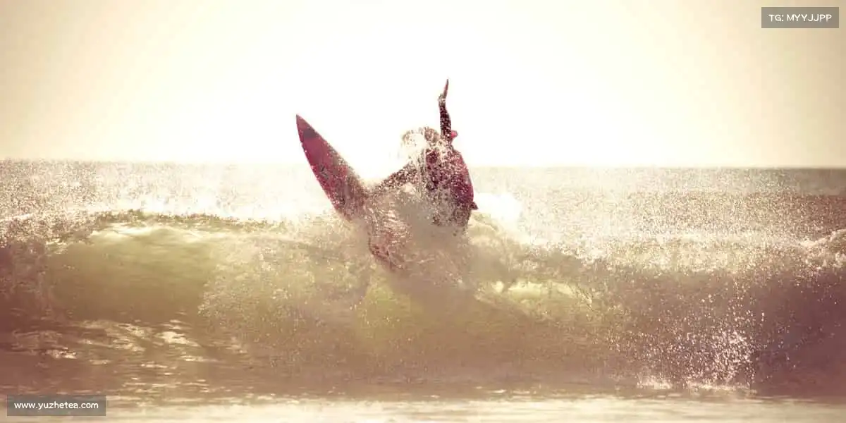 为什么选择我们